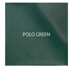 Malibu/Axis Polo Green Gel Coat '99-'04
