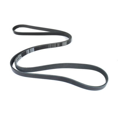 PCM 6.0L Serpentine Belt